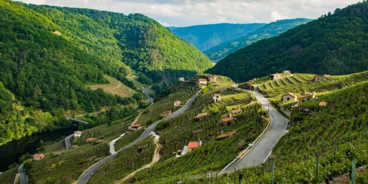 Ribeira Sacra Monforte de Lemos
