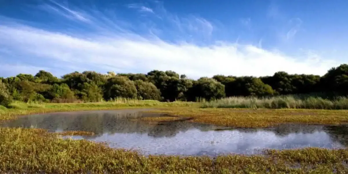 Lagoa de Bodeira O Grove