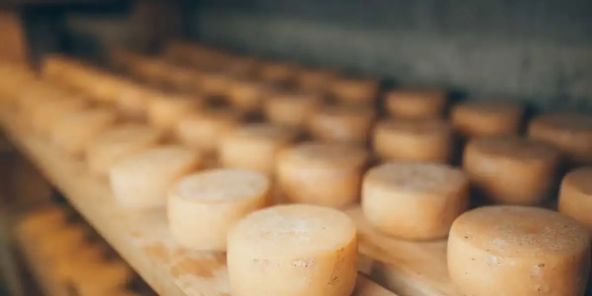 Queso de Arzúa Ulloa - Ribadiso