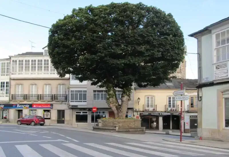 Camino del norte. Vilalba Pravia