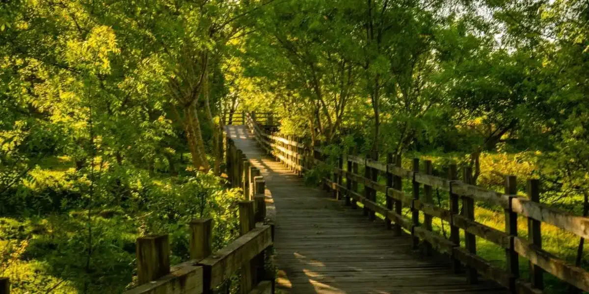 Parque de la Pradera - Benavente