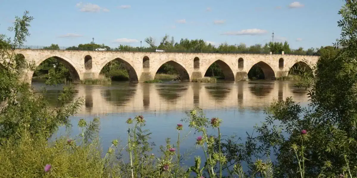 Ponte di piedra - Zamora