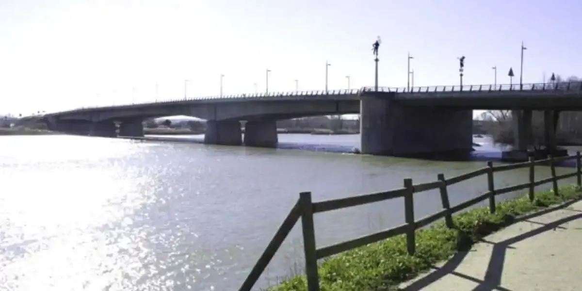 Ponte di los tres árboles - Zamora