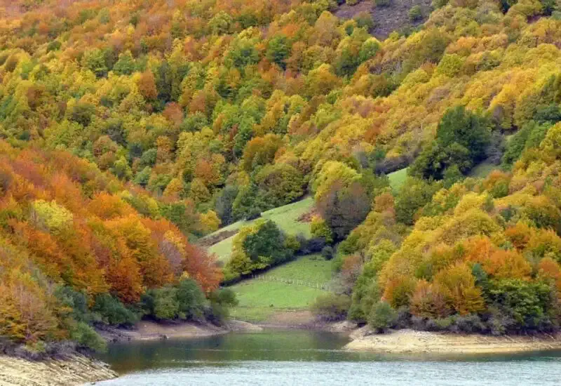 El Bosque del Quinto del Real en Zubiri