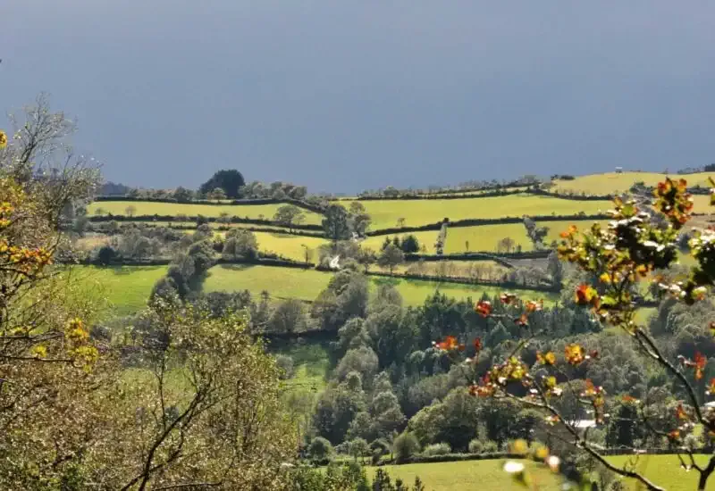 La sierra de Gistral