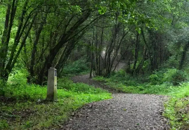 Sendero del Camino desde A Coruña