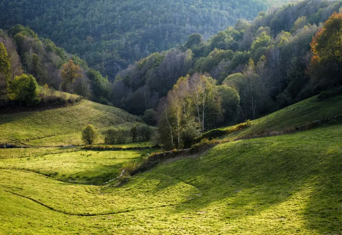 Landscape of the Ancares