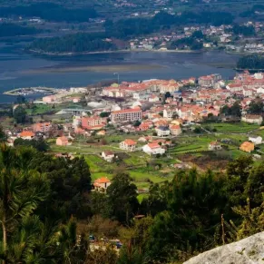 Vigo